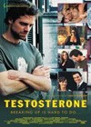 Testosterone (2003).jpg